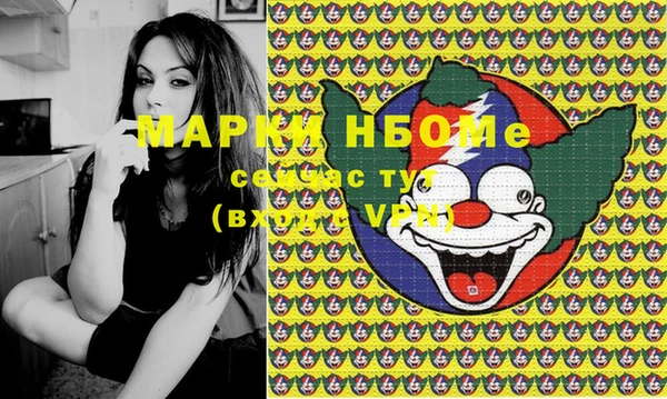 индика Нягань