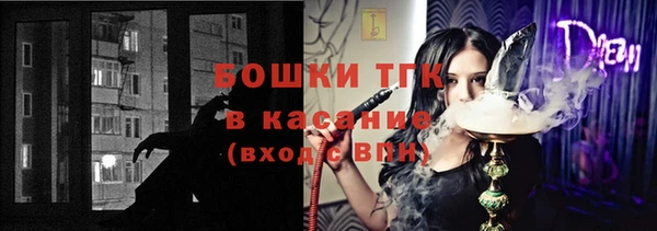 прущий лед Дмитриев