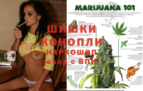 прущий лед Дмитриев