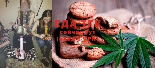 прущий лед Дмитриев