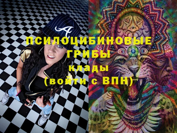 амф Дмитровск