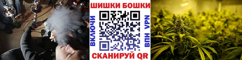 дарнет шоп Зима Бошки Шишки сатива