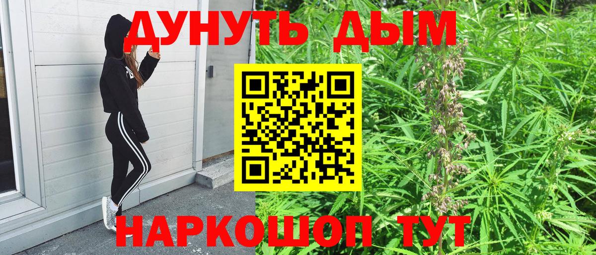 Конопля тримм  Бошки марихуана индика  Бошки Шишки индика  Зима  Вход с VPN 