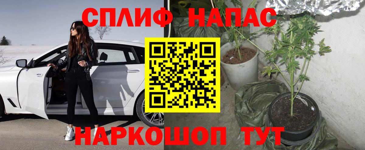 Марихуана Amnesia Зима